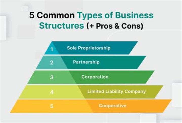 Which are non business Organisations?