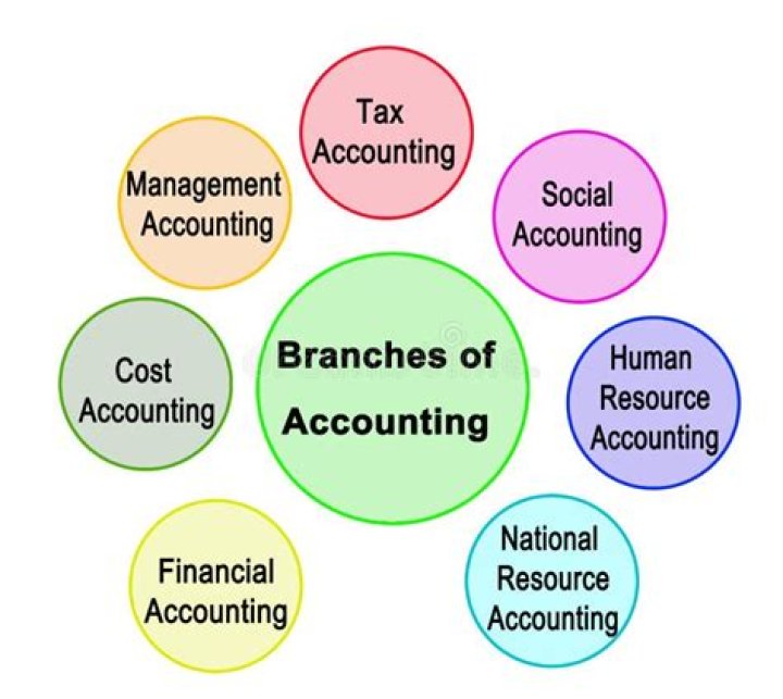 Which branch of accounting provides?