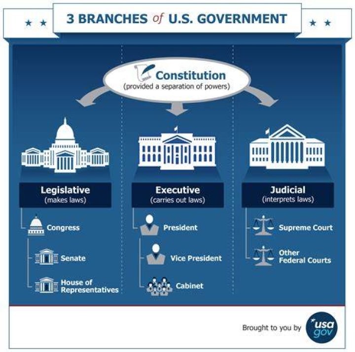 Which branch of government determines the constitutionality of the law?