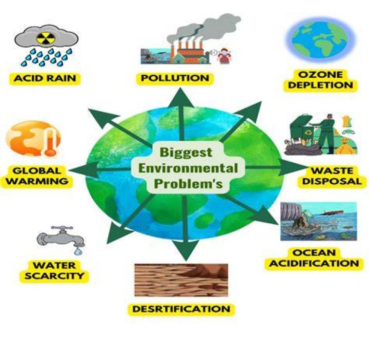 Which environmental issue is the most neglected one as per the survey?