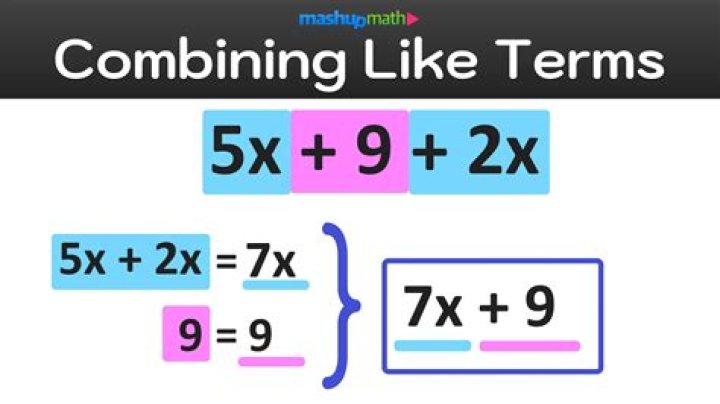 Which is a process of combining two or more organization together?