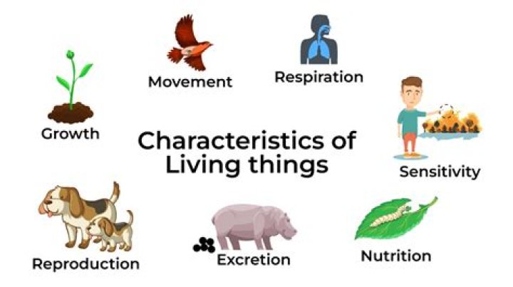 Which one of the following is not characteristic of essential element?
