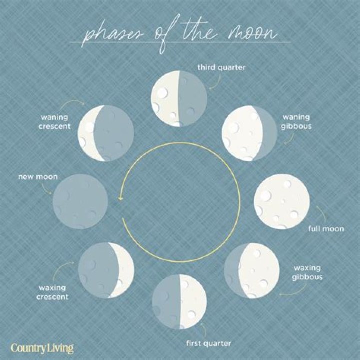 Which phases always fill containers?