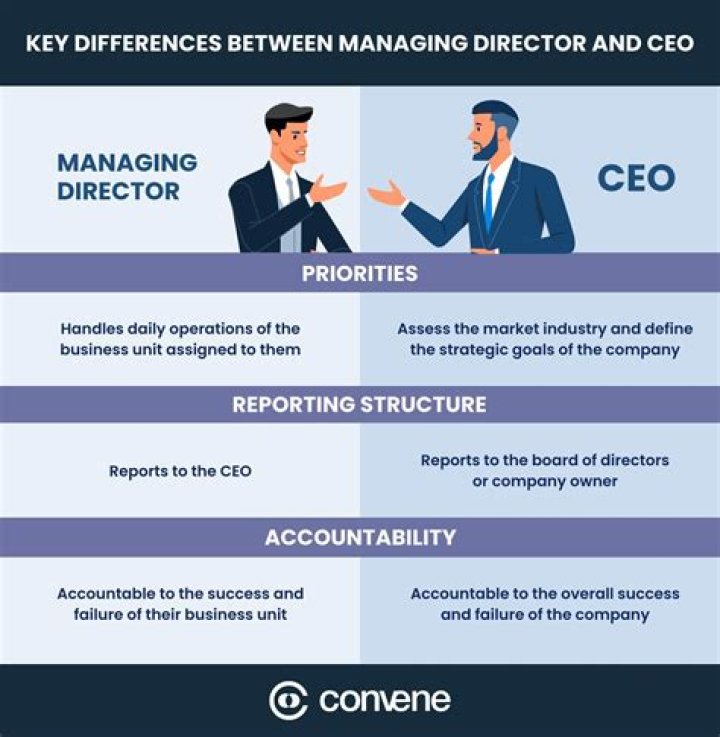 Which position is higher CEO or managing director?