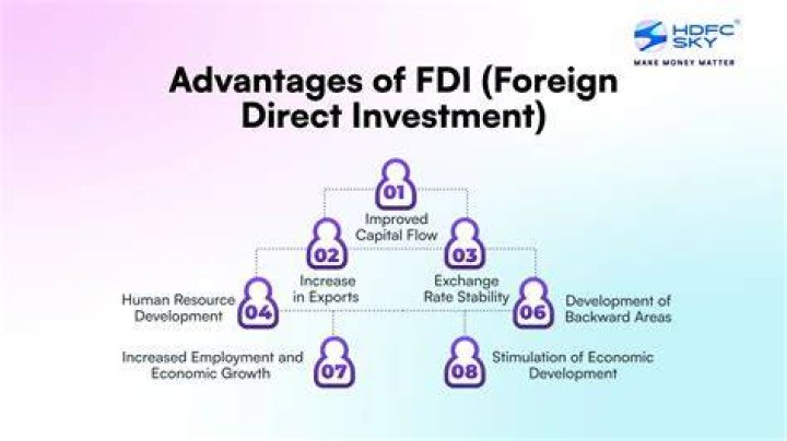 Which role does foreign direct investment FDI play in international business?