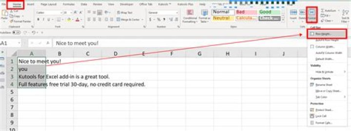 Which three things go in an Excel cell?