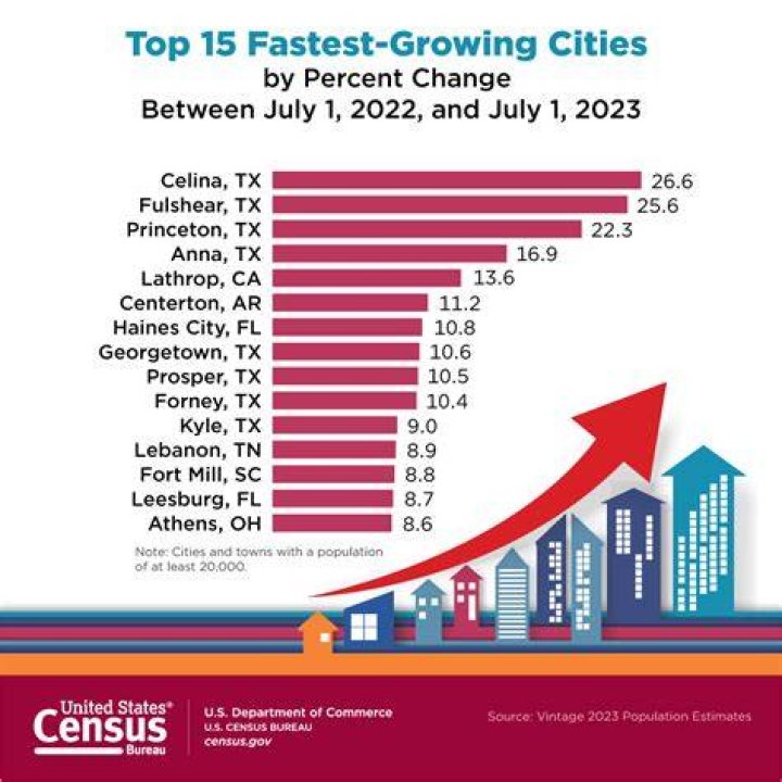 Which type of business is the fastest growing in the United States?