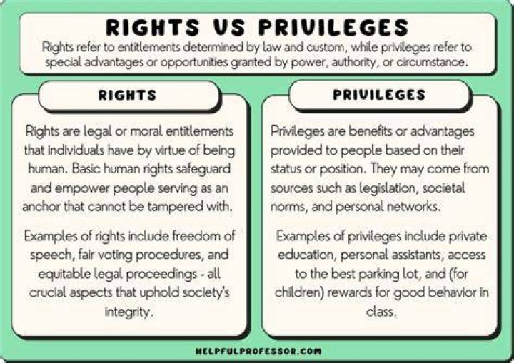 Which type of business organization has the respective rights and privileges of a legal person quizlet?