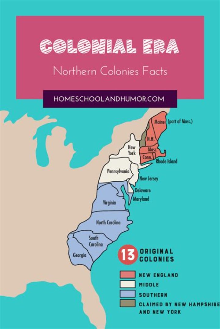 Which was the main group that settled in the New England colonies?