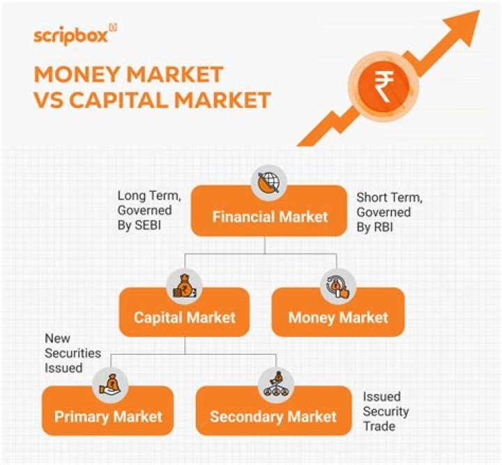 Who are the participants in money market and capital market?