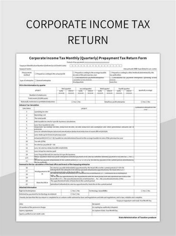 Who can file company tax return?