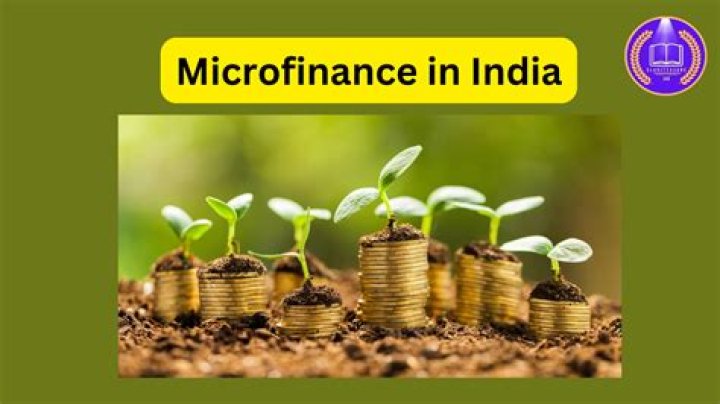 Who controls microfinance in India?
