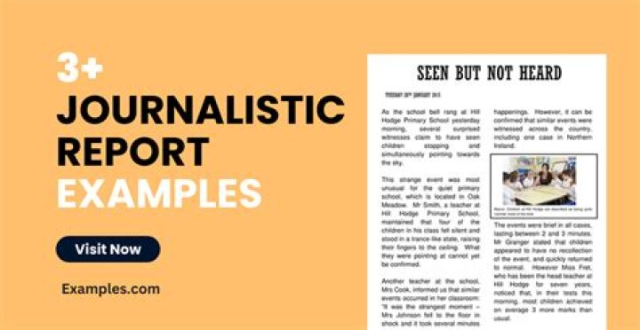 Who does a journalist work with?