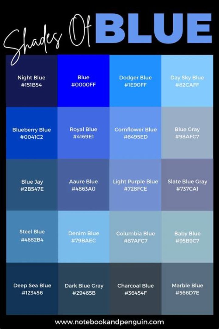 Who is blue tarp credit services?