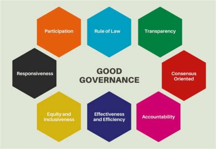 Who is responsible for the appointment and oversight of the external auditors?