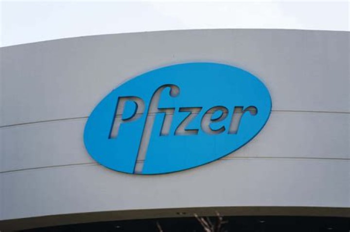 Who is the majority owner of Pfizer Corporation?