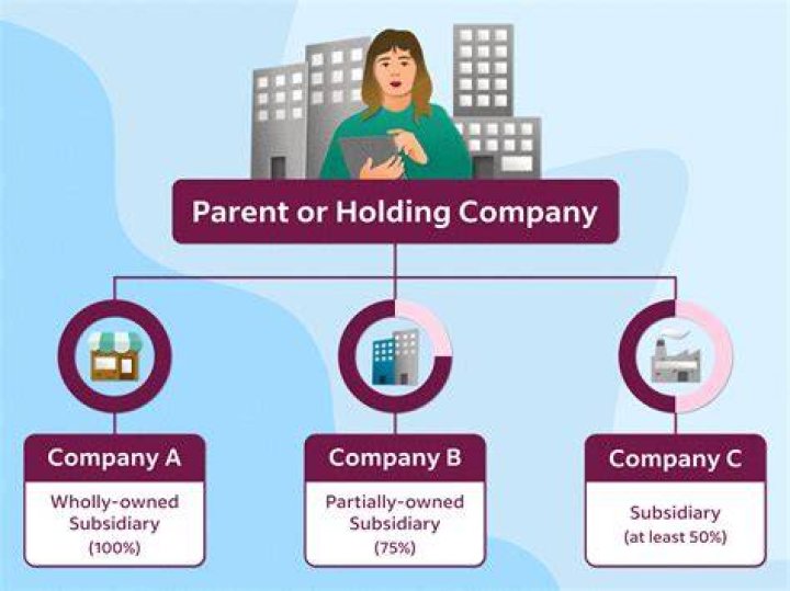 Who is the owner of a subsidiary company?