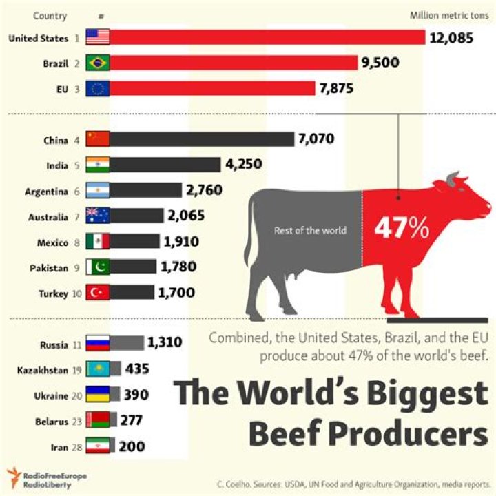 Who is the worlds largest producer of beef?
