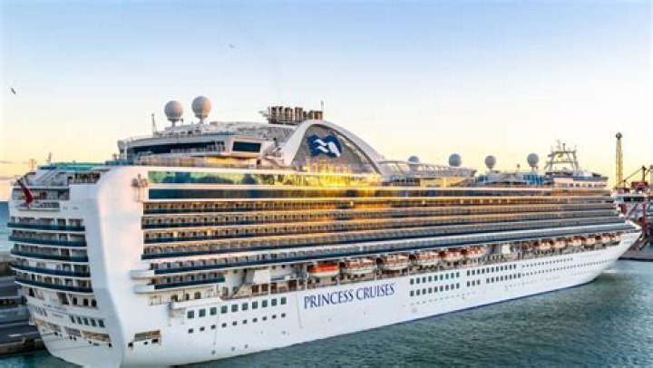 Who operates Princess Cruises?