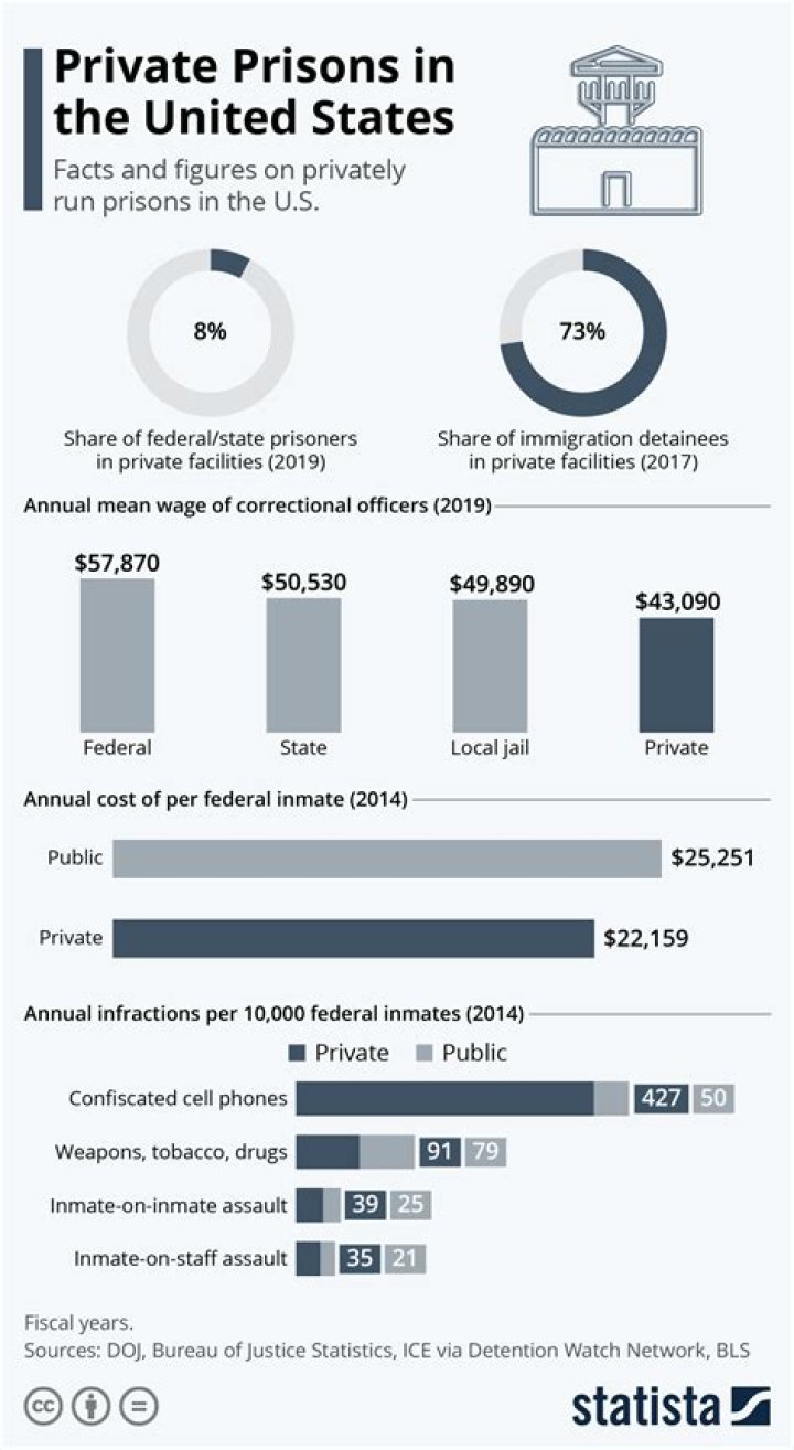Who owns the private prisons in the US?