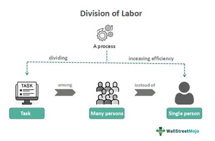 Who proposed the theory of division of labour?