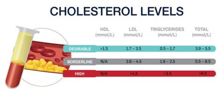 WHO recommended cholesterol intake?