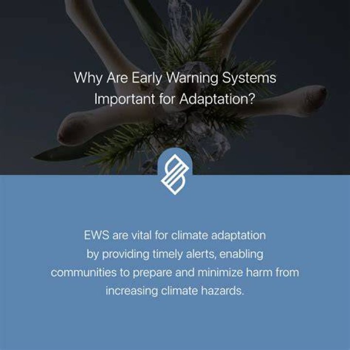 Why are diary systems important?