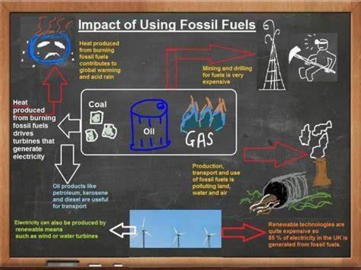 Why are so fossil fuels so important to the entire world?