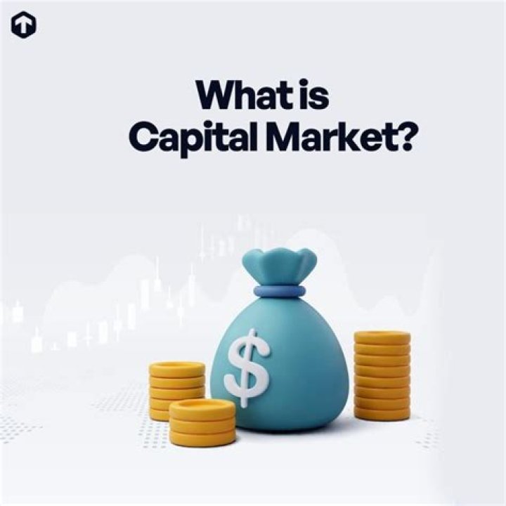 Why capital market is long-term?