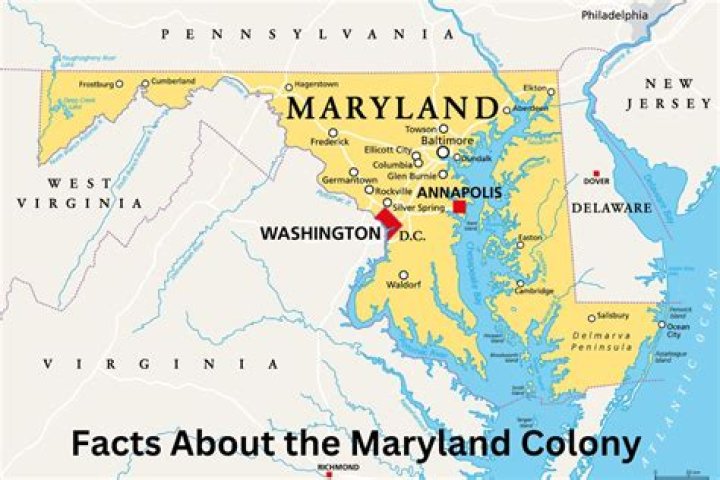 Why did the Calverts establish the colony of Maryland?