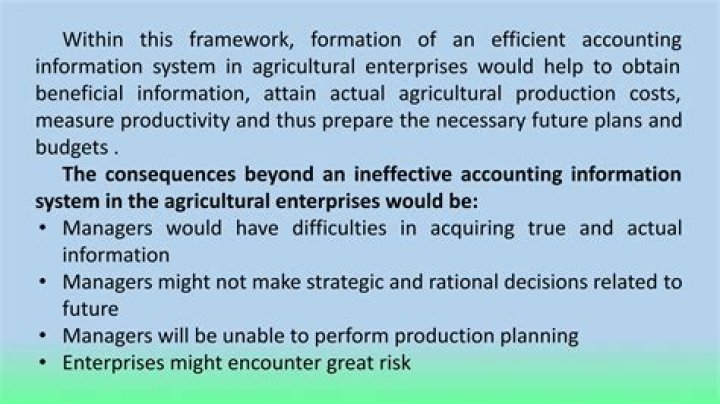Why do countries have different accounting system?