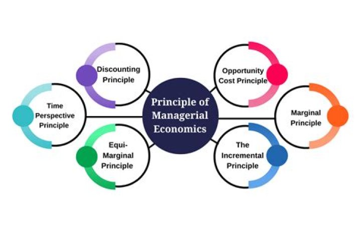 Why do managers use economic principles?