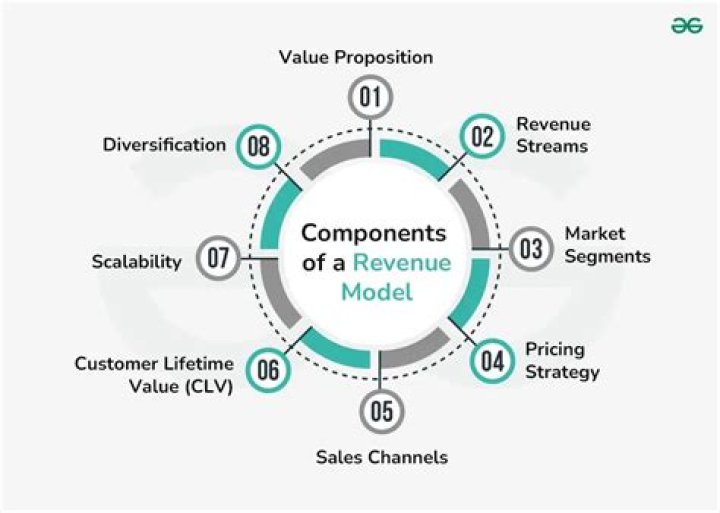Why do Organisations focus on revenue models?