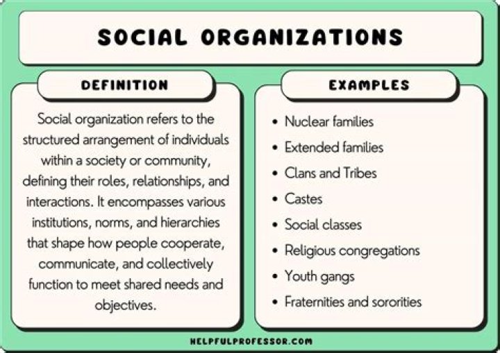 Why do organizations become involved in inter-organizational relationships?