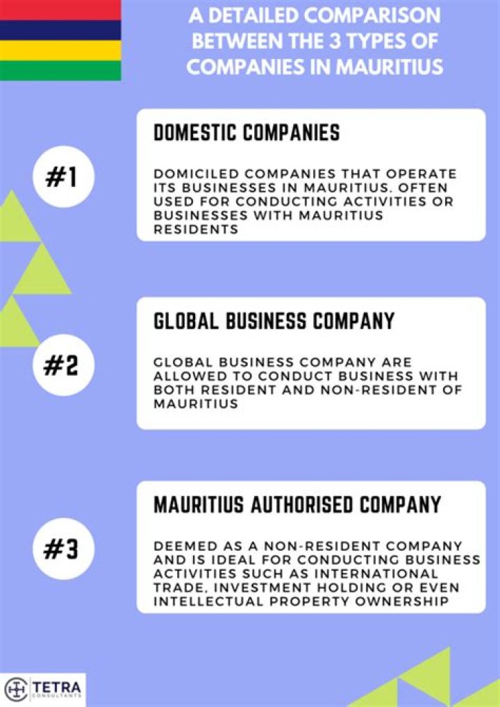 Why do people set up companies in Mauritius?