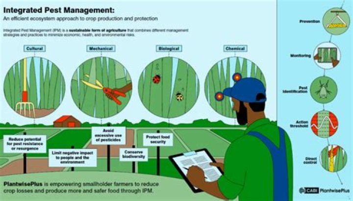 Why do pest considered important?