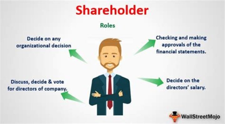 Why do shareholders need financial information?