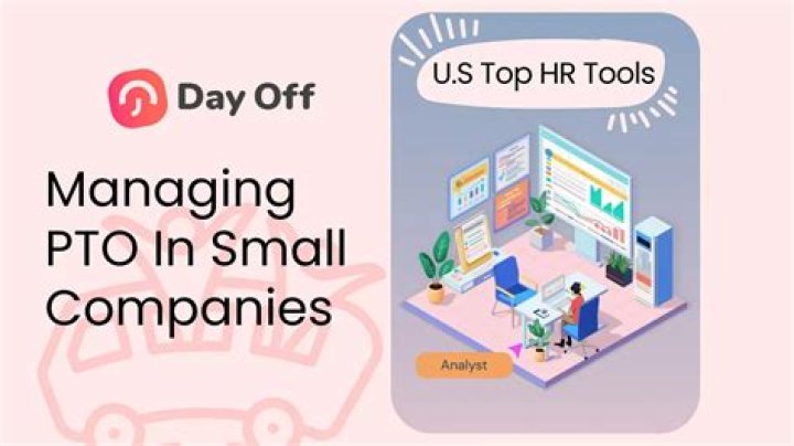Why do small companies need the service of management consultants?