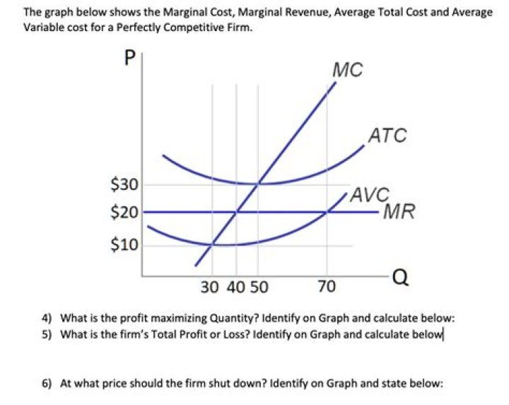 Why does a firm have a zero-leverage?