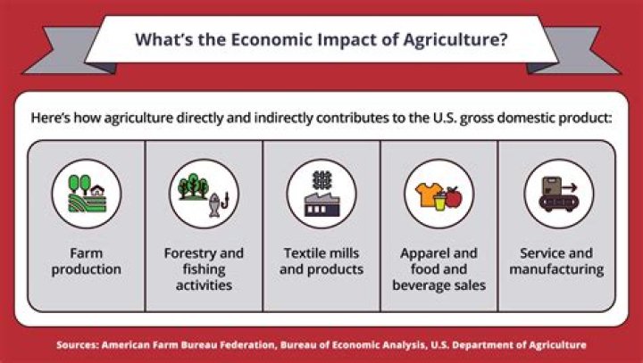 Why does agriculture contribute to less wage employment?