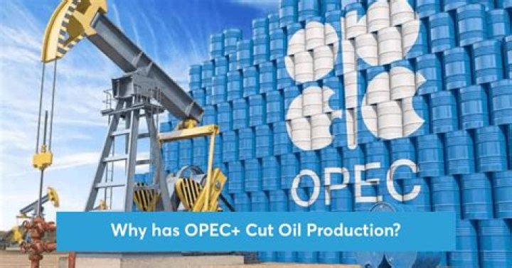 Why does OPEC meet?