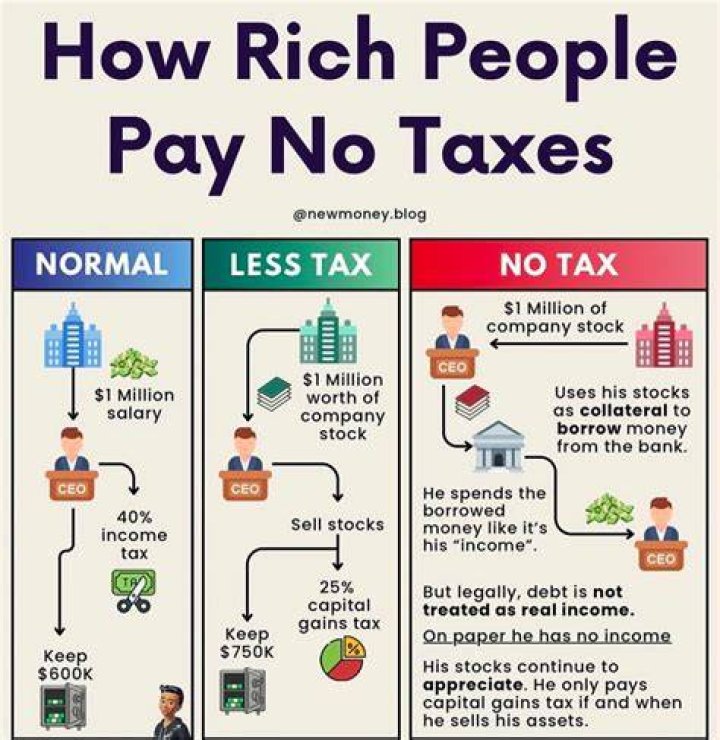 Why is it important for companies to pay taxes?