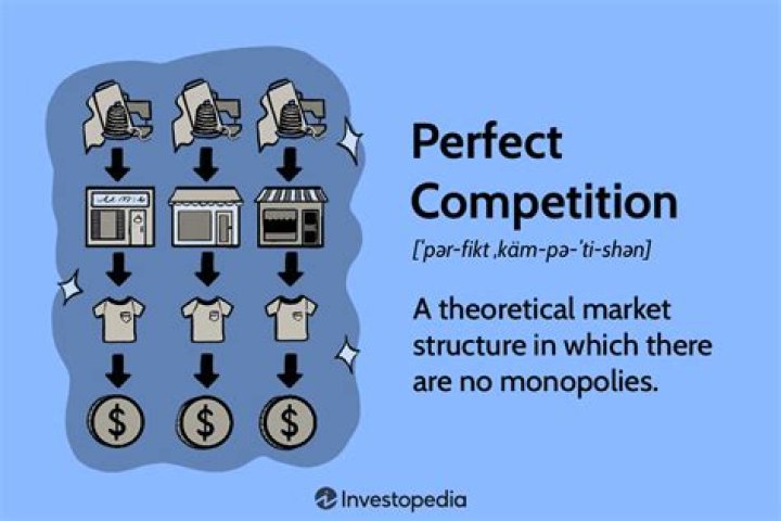 Why is perfect competition unrealistic?