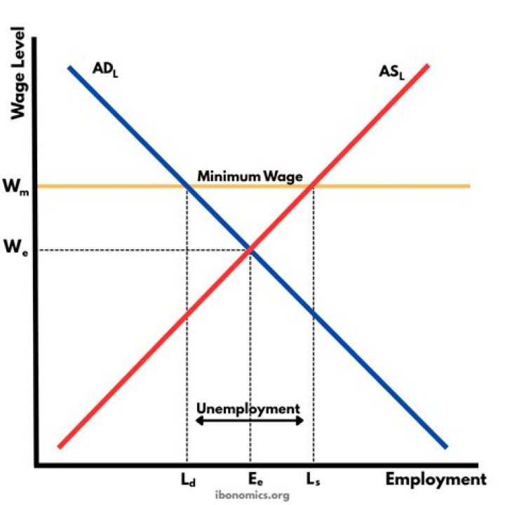 Why should we impose minimum wage?