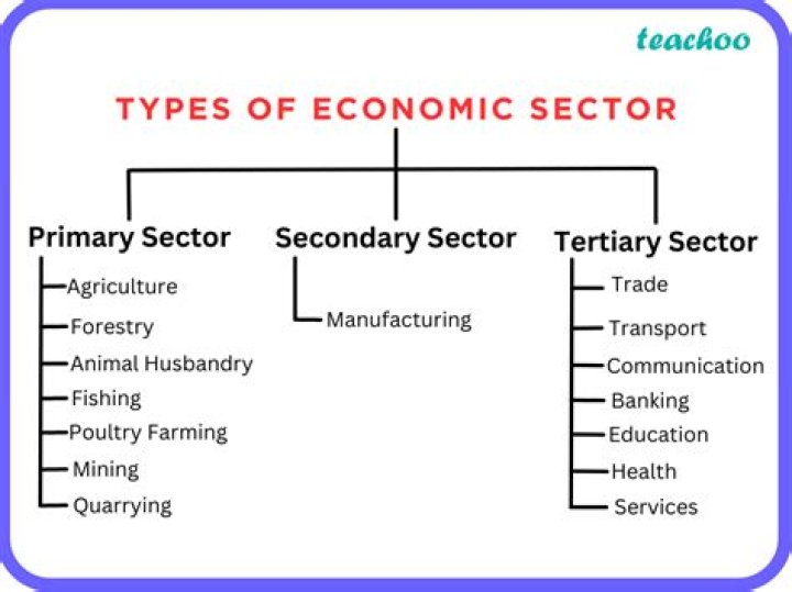 Why the primary sector is decreasing?