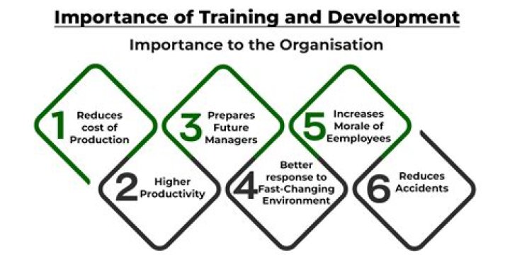 Why training is important in information system?